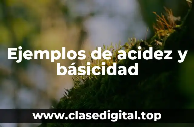 Ejemplos de acidez y básicidad