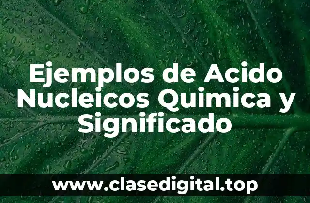 Ejemplos de Acido Nucleicos Quimica y Significado