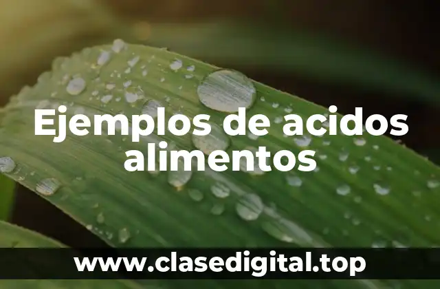 Ejemplos de acidos alimentos