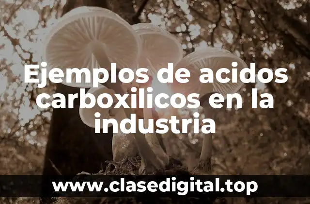 Ejemplos de acidos carboxilicos en la industria