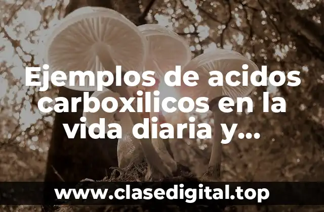 Ejemplos de acidos carboxilicos en la vida diaria y Significado