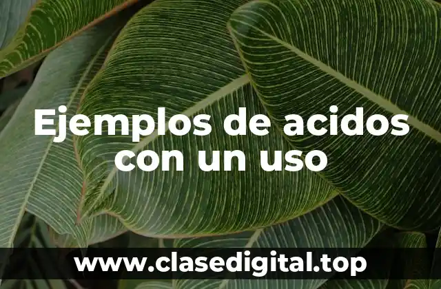 Ejemplos de acidos con un uso
