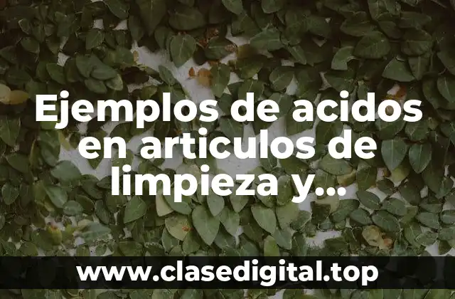 Ejemplos de acidos en articulos de limpieza y Significado