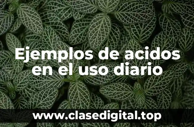 Ejemplos de acidos en el uso diario