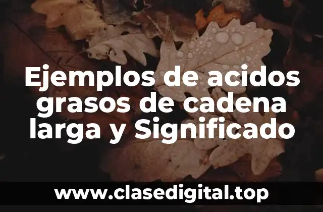 Ejemplos de acidos grasos de cadena larga y Significado