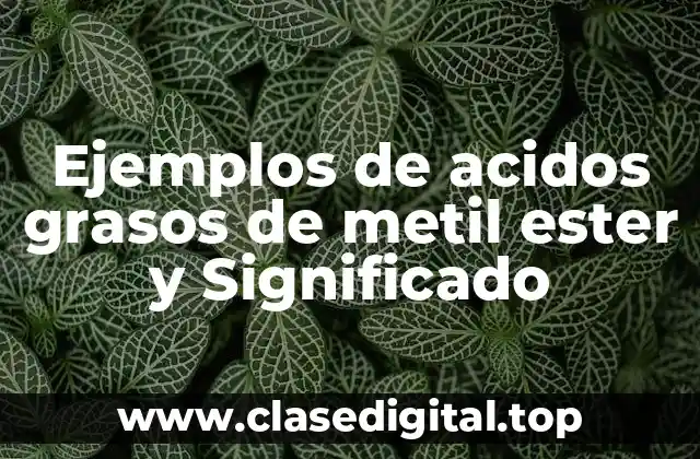 Ejemplos de acidos grasos de metil ester y Significado