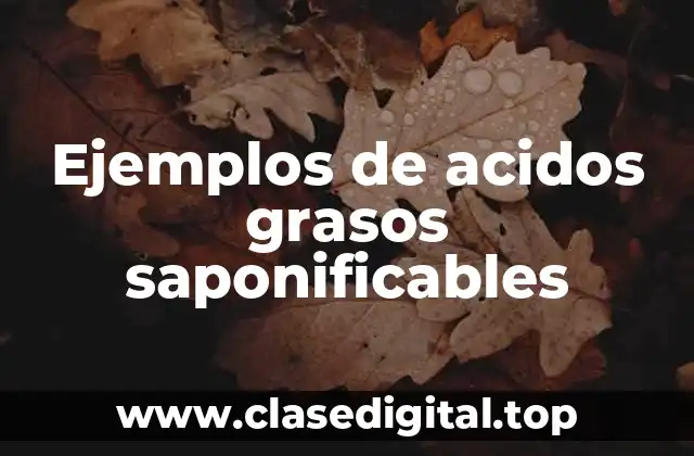 Ejemplos de acidos grasos saponificables