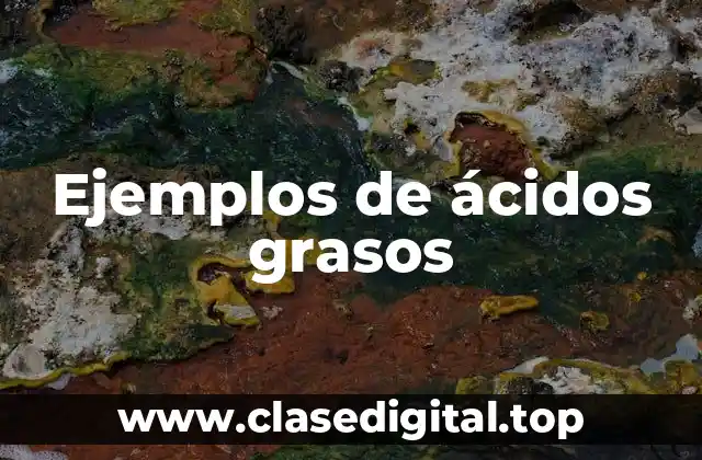 Ejemplos de ácidos grasos