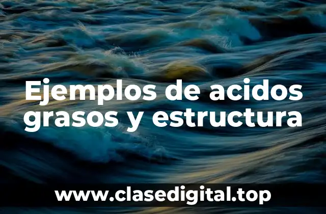 Ejemplos de acidos grasos
