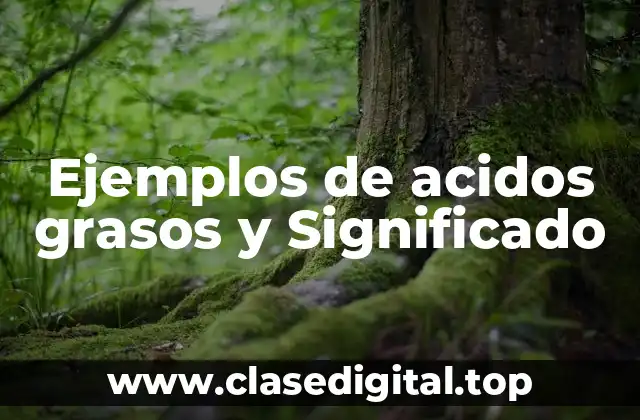 Ejemplos de acidos grasos y Significado