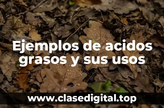 Ejemplos de acidos grasos y sus usos
