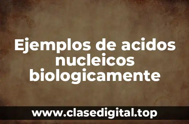 Ejemplos de acidos nucleicos biologicamente