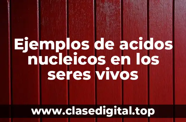 Ejemplos de acidos nucleicos en los seres vivos