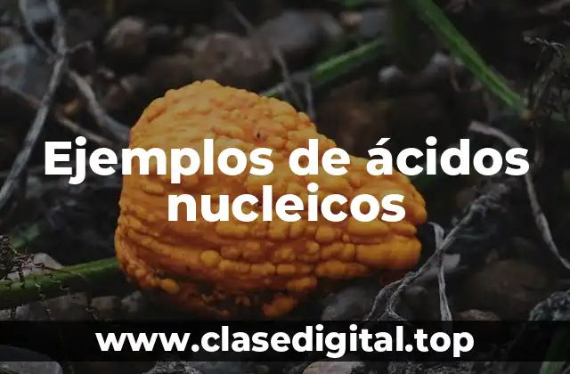 Ejemplos de ácidos nucleicos