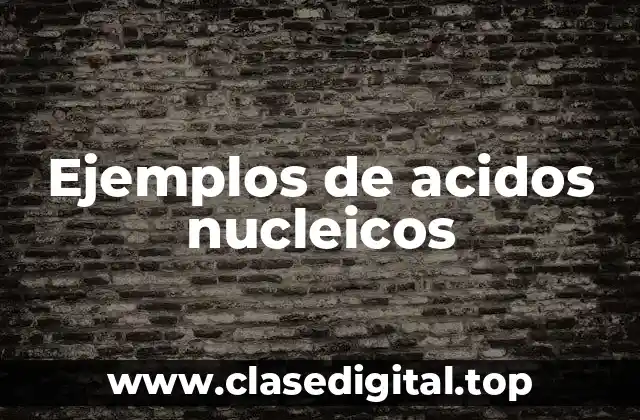 Ejemplos de acidos nucleicos