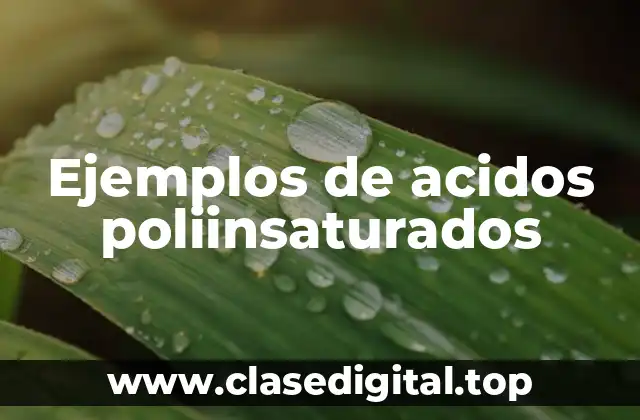 Ejemplos de acidos poliinsaturados