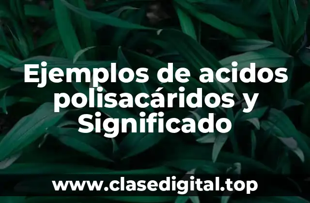 Ejemplos de acidos polisacáridos y Significado