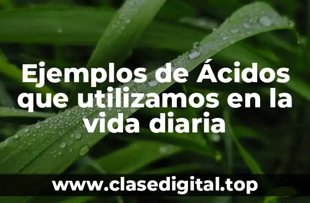 Ejemplos de Ácidos que utilizamos en la vida diaria