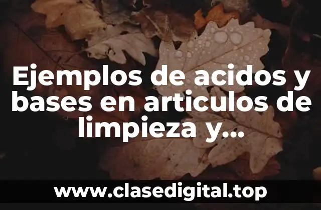 Ejemplos de acidos y bases en articulos de limpieza y Significado