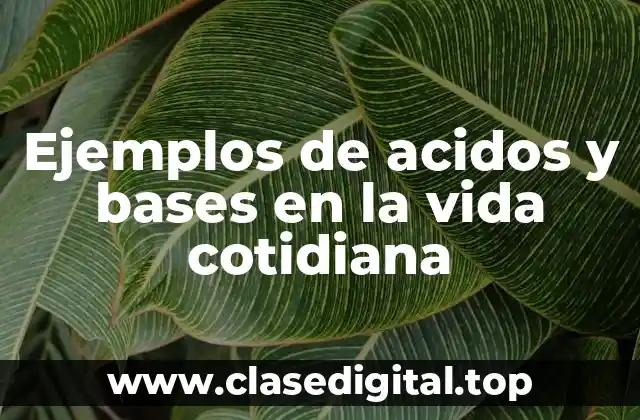 Ejemplos de acidos y bases en la vida cotidiana