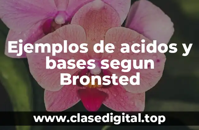 Ejemplos de acidos y bases segun Bronsted