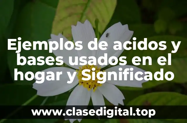 Ejemplos de acidos y bases usados en el hogar y Significado