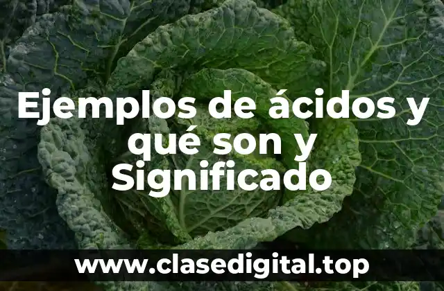 Ejemplos de ácidos y qué son y Significado