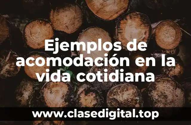 Ejemplos de acomodación en la vida cotidiana