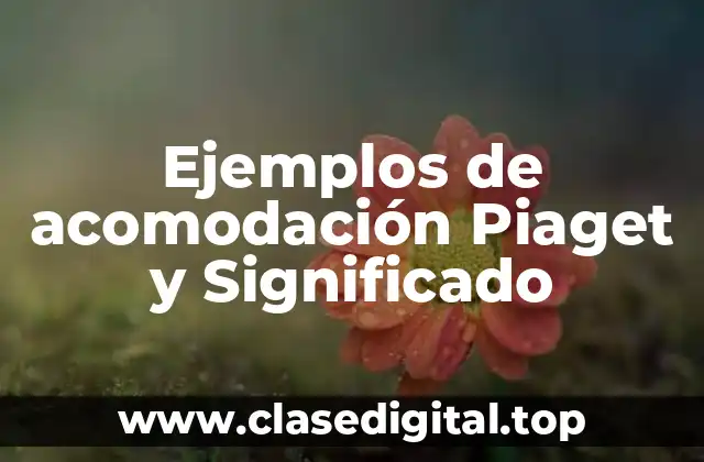 Ejemplos de acomodación Piaget y Significado