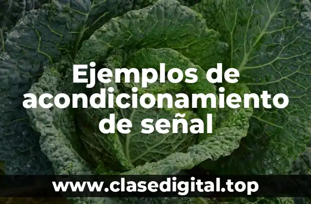 Ejemplos de acondicionamiento de señal