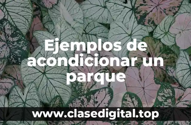 Ejemplos de acondicionar un parque