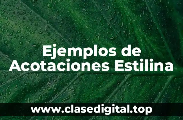 Ejemplos de Acotaciones Estilina