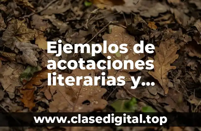 Ejemplos de acotaciones literarias y Significado