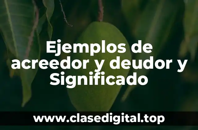 Ejemplos de acreedor y deudor y Significado