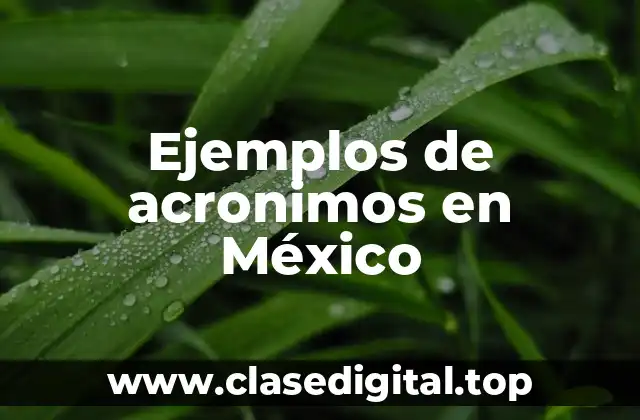Ejemplos de acronimos en México