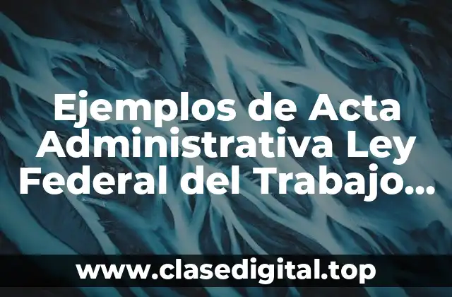 Ejemplos de Acta Administrativa Ley Federal del Trabajo México