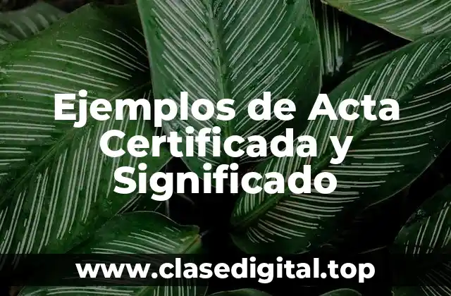 Ejemplos de Acta Certificada y Significado