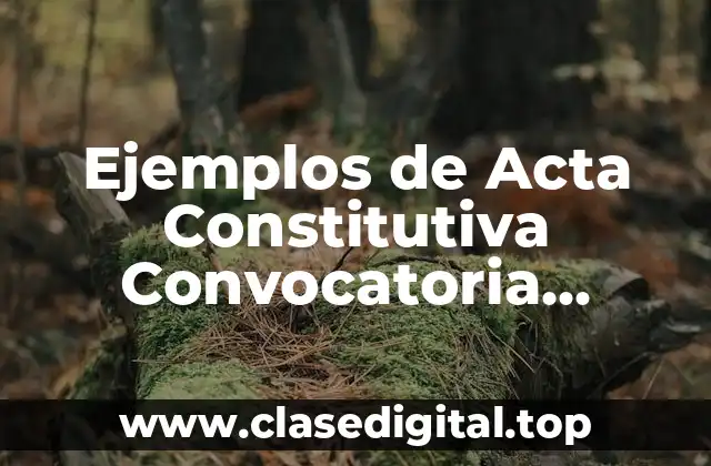 Ejemplos de Acta Constitutiva Convocatoria Asamblea