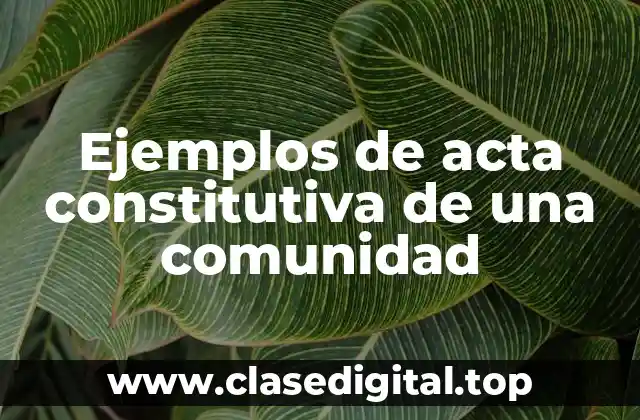 Ejemplos de acta constitutiva de una comunidad
