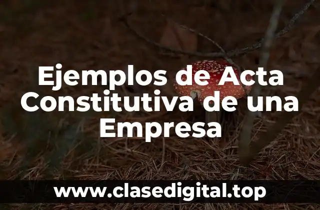 Ejemplos de Acta Constitutiva de una Empresa