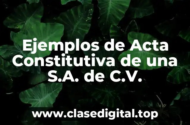 Ejemplos de Acta Constitutiva de una S.A. de C.V.