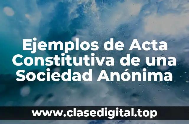 Ejemplos de Acta Constitutiva de una Sociedad Anónima