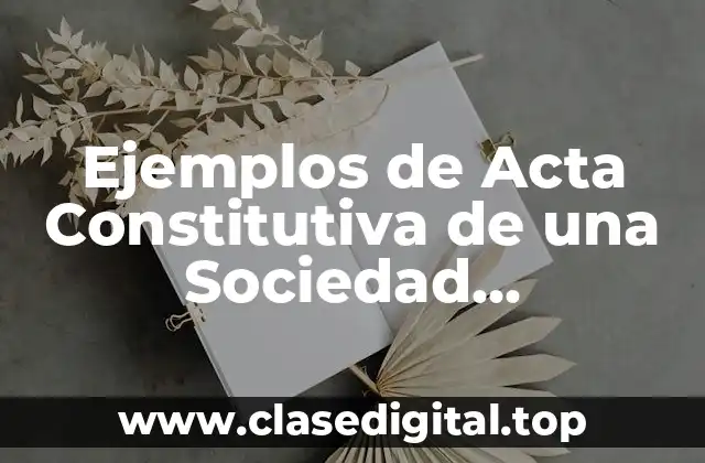 Ejemplos de Acta Constitutiva de una Sociedad Cooperativa Mexicana