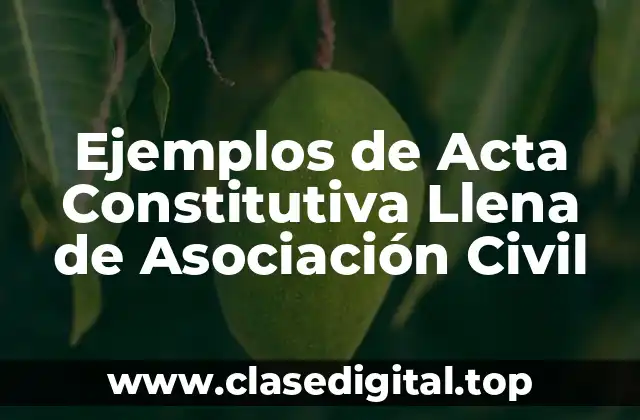 Ejemplos de Acta Constitutiva Llena de Asociación Civil