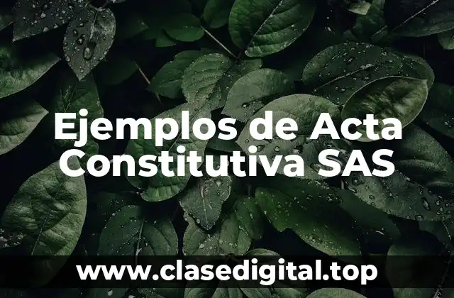 Ejemplos de Acta Constitutiva SAS