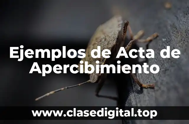 Ejemplos de Acta de Apercibimiento