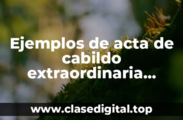 Ejemplos de acta de cabildo extraordinaria empresas y Significado