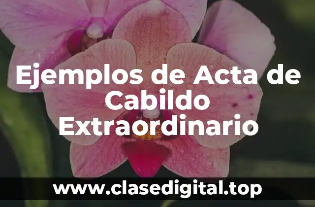 Ejemplos de Acta de Cabildo Extraordinario