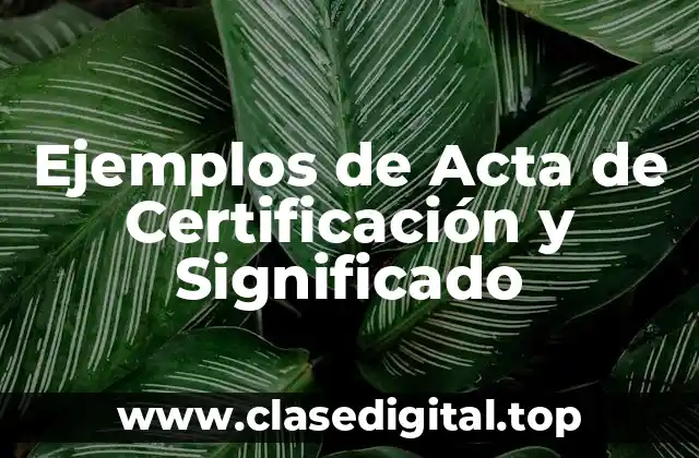 Ejemplos de Acta de Certificación y Significado