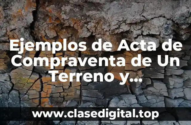 Ejemplos de Acta de Compraventa de Un Terreno y Significado